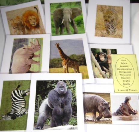 9-card AFRICAN ANIMALS set