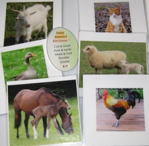 6-card FARM ANIMALS, Set # 1