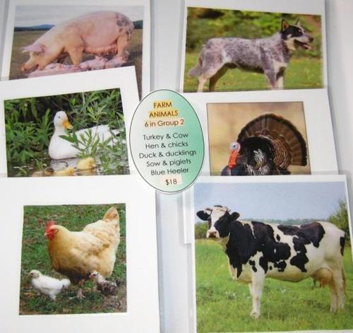 6-card FARM ANIMALS, Set # 2