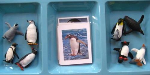 6 PENGUINS & matching cards