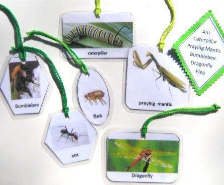 6 INSECT HANGING CARDS, Set # 1