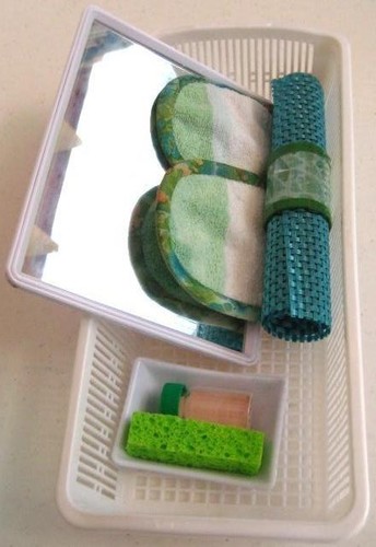 MIRROR POLISHING ACTIVITY #1 
 (with work mat)