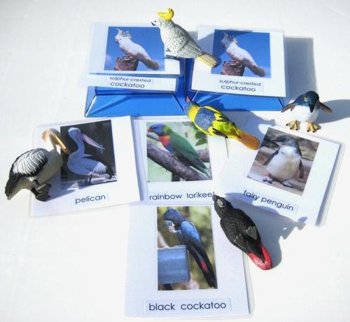 5 AUSSIE BIRDS & matching 3-part cards, Set # 2