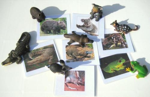 7 AUSSIE ANIMALS & matching cards, Set # 2