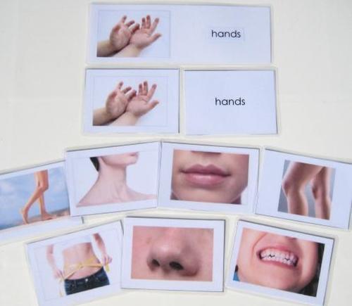 8 BODY PARTS, Set # 2, with matching 3-part cards