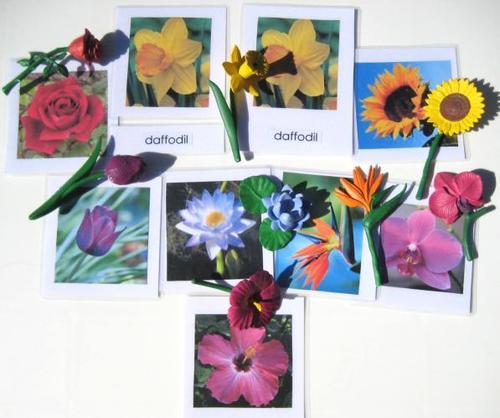8 FLOWERS with matching 3-part cards