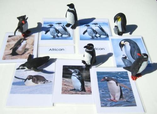 6 PENGUINS & matching 3-part cards