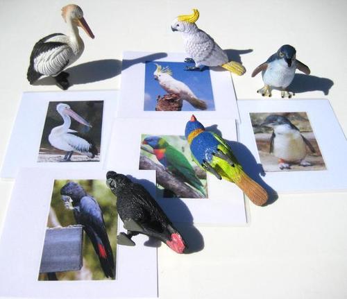 5 AUSSIE BIRDS & matching cards, Set # 2