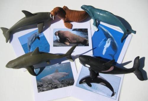 5 LARGE SEA LIFE ANIMALS & matching cards, Set # 1