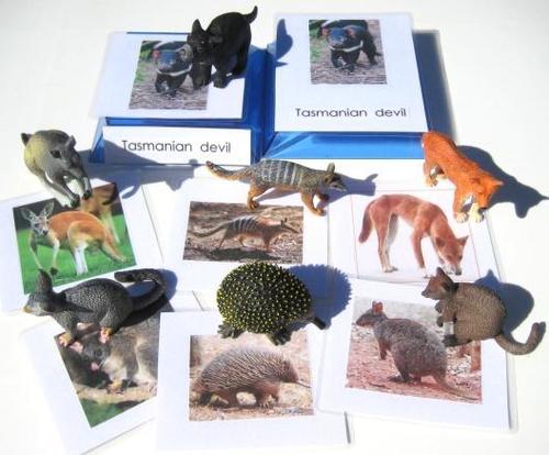 7 AUSSIE ANIMALS & matching 3-part cards, Set #1