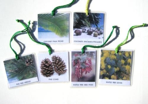 6 LEAVES & SEEDS HANGING CARDS, Set #1