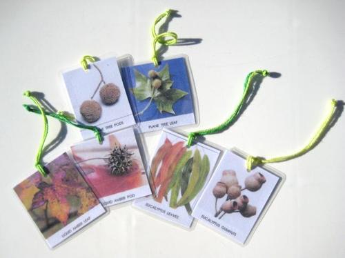 6 LEAVES & SEEDS HANGING CARDS, Set #2
