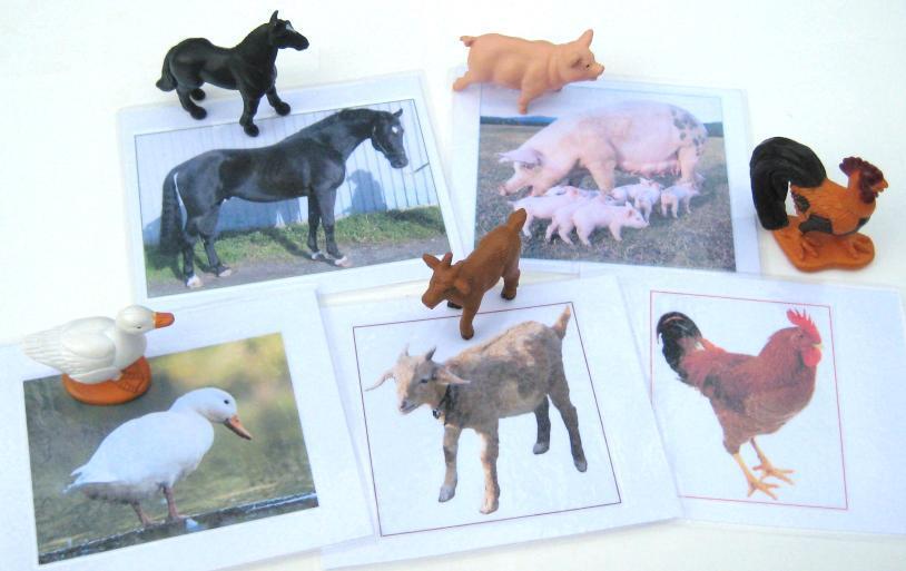 5 FARM ANIMALS & matching cards, Set #1