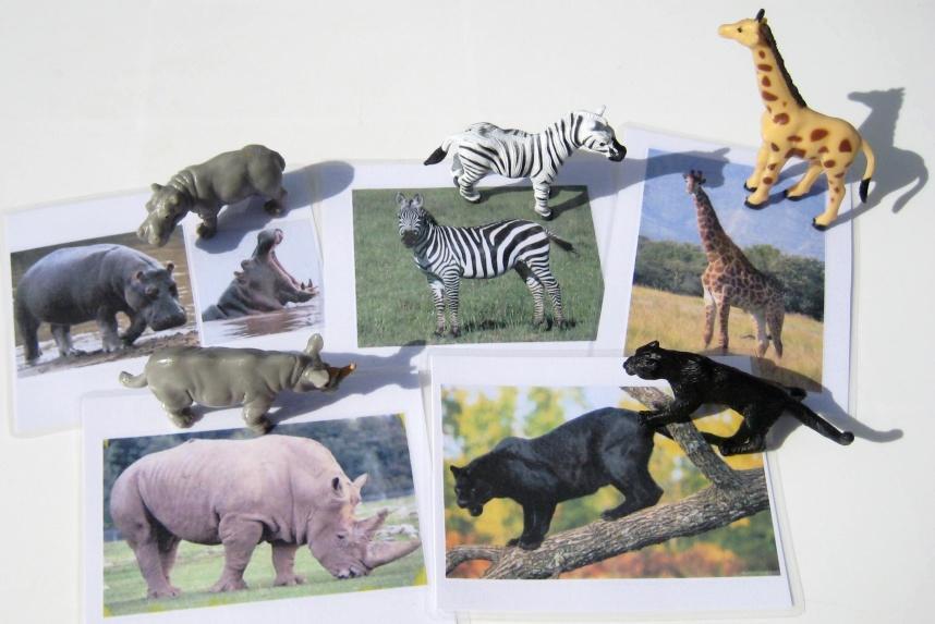 5 AFRICAN ANIMALS & matching cards, Set #1