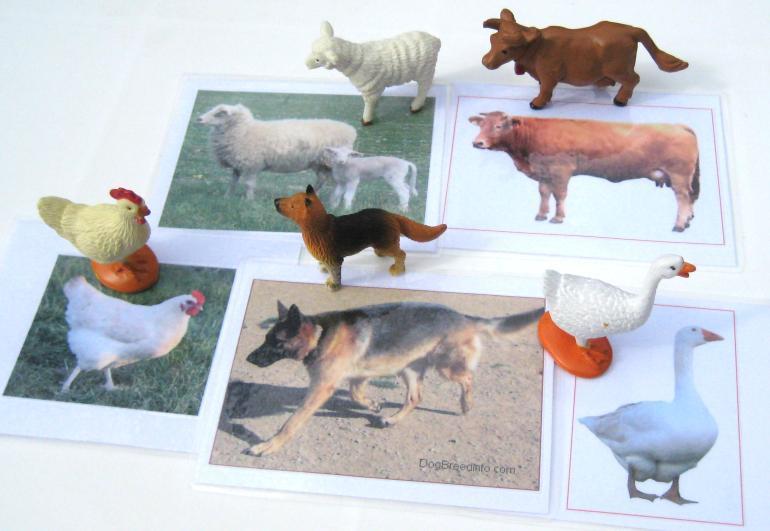 5 FARM ANIMALS & matching cards, Set #2