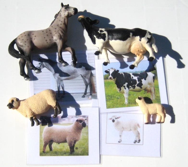 4 LARGE FARM ANIMALS & matching cards