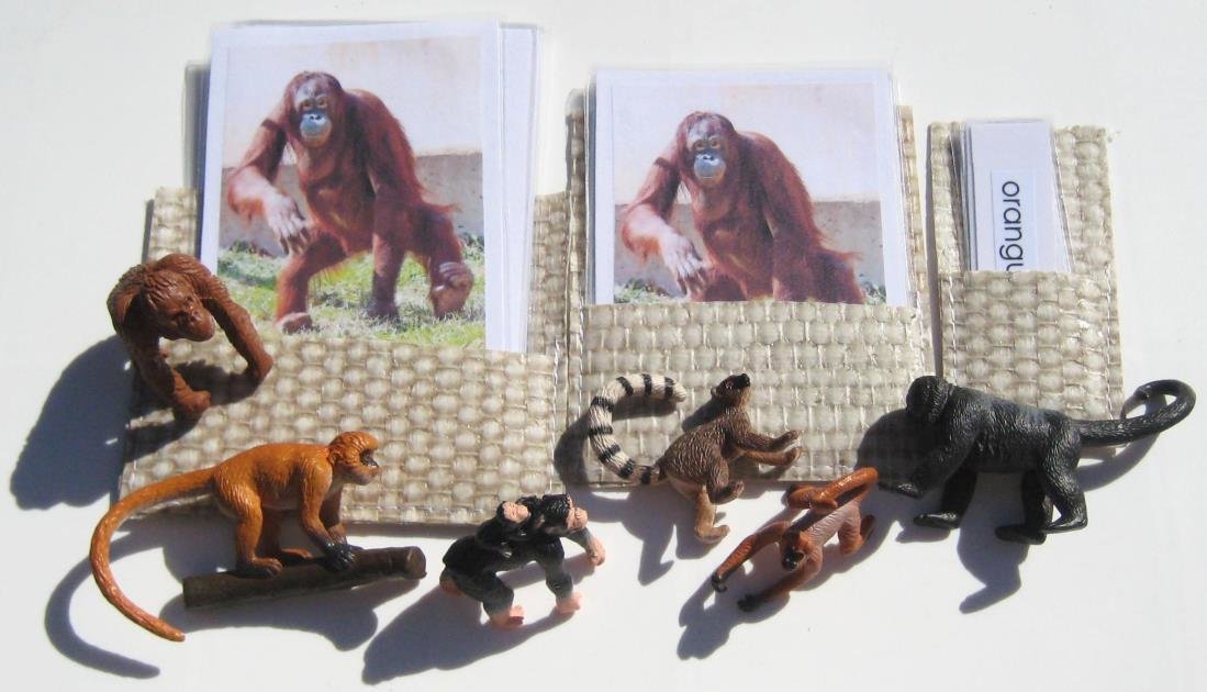 6 APES & MONKEYS, Set # 2, with matching 3-part cards