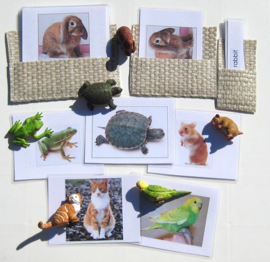 6 PETS & matching 3-part cards, Set 1