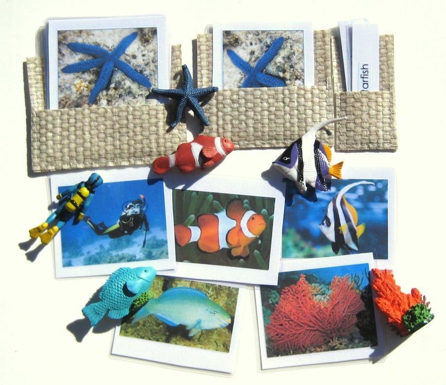 6 CORAL REEF & matching 3-part cards, Set #1
