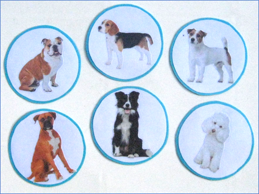 6 DOGS, cards only