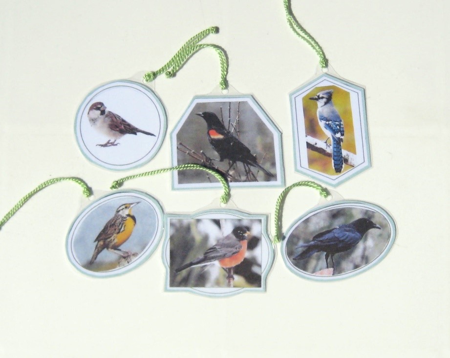 6 BACKYARD BIRDS of AMERICA HANGING CARDS, Set #1