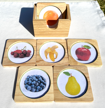 6 FRUIT COASTER CARDS in Holder