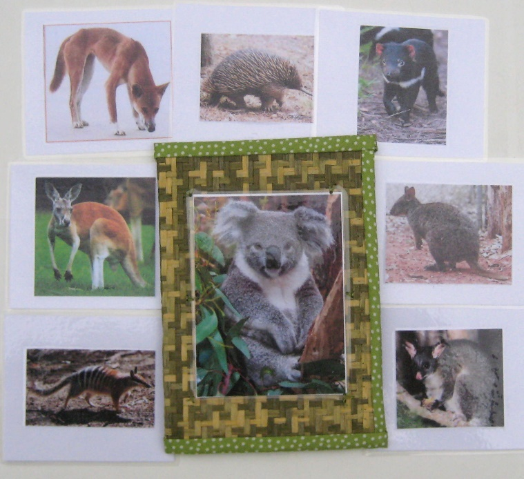 7 AUSSIE ANIMALS & matching cards, Set # 1 — view 2