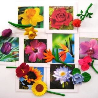 0-3 Language: Cards and Objects