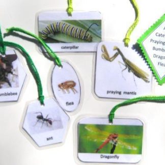 6 INSECT HANGING CARDS, Set # 1