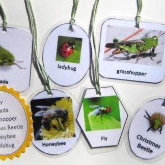 6 INSECT HANGING CARDS, Set # 2
