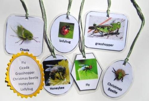 6 INSECT HANGING CARDS, Set # 2