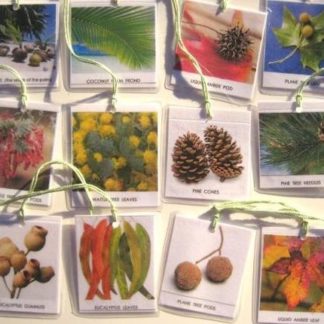 12 SEEDS & LEAVES HANGING CARDS