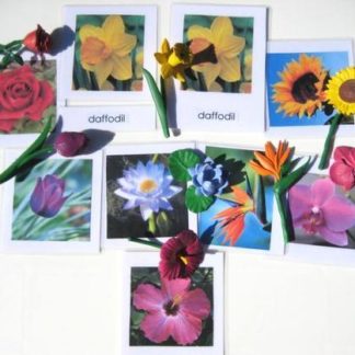 8 FLOWERS with matching 3-part cards