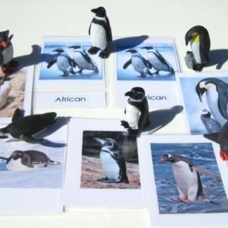 6 PENGUINS & matching 3-part cards