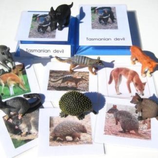 7 AUSSIE ANIMALS & matching 3-part cards, Set #1
