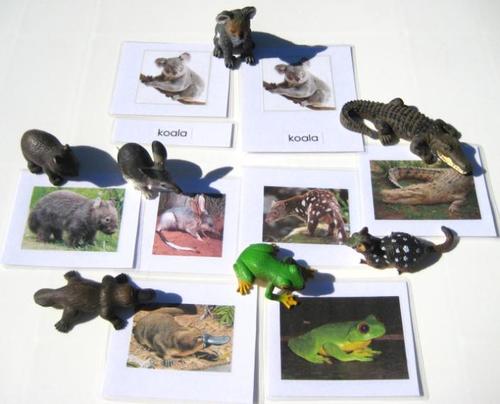 7 AUSSIE ANIMALS & matching 3-part cards, Set #2