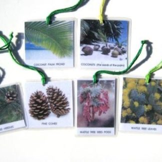 6 LEAVES & SEEDS HANGING CARDS, Set #1