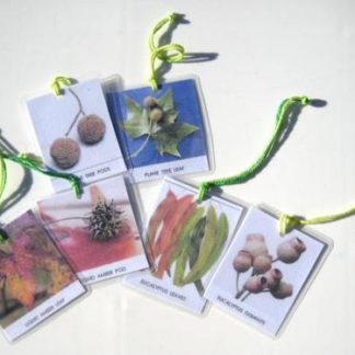 6 LEAVES & SEEDS HANGING CARDS, Set #2