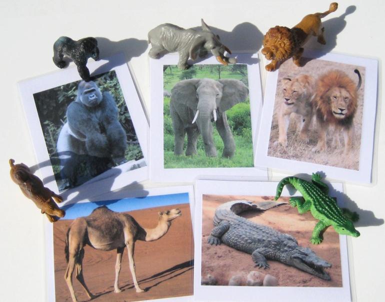 5 AFRICAN ANIMALS & matching cards, Set #2