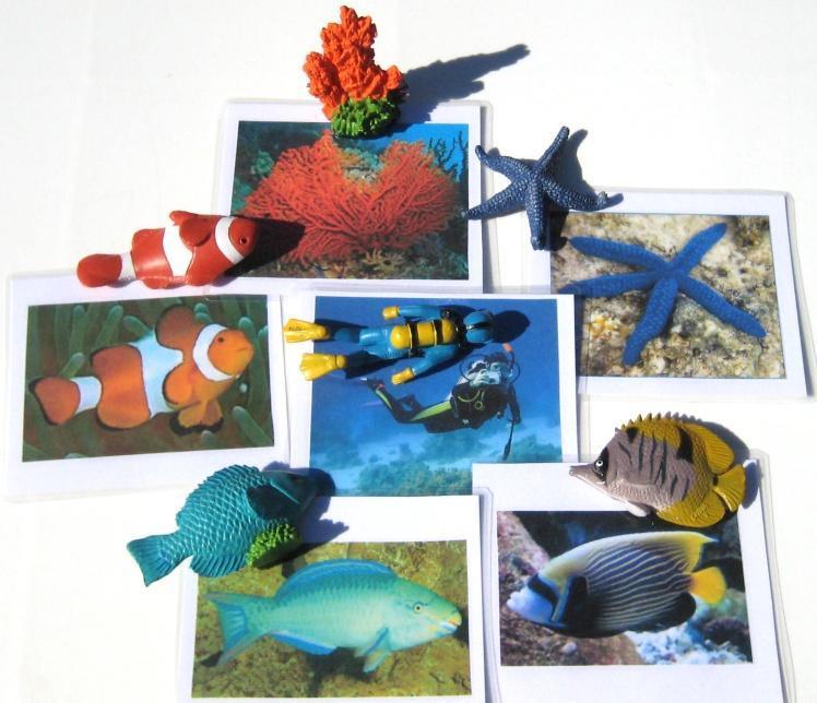 6 CORAL REEF & matching cards, Set #1