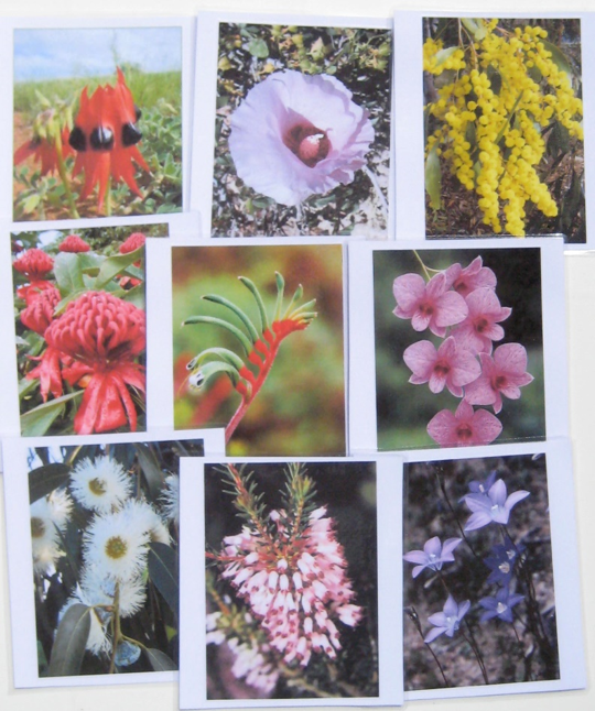 9 FLOWER EMBLEMS of AUSTRALIA, cards only