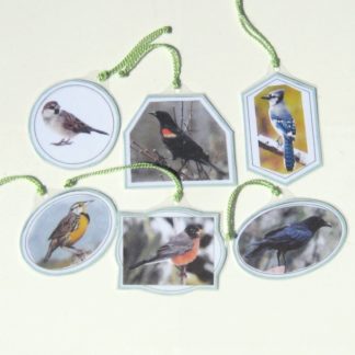 6 BACKYARD BIRDS of AMERICA HANGING CARDS, Set #1