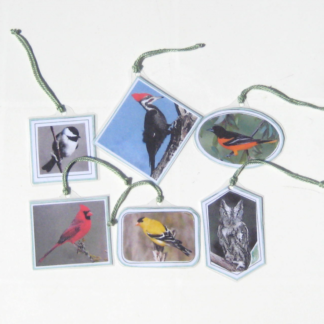 6 BACKYARD BIRDS of AMERICA HANGING CARDS, Set #2