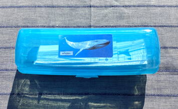 7 WHALES & matching cards in container - Image 2